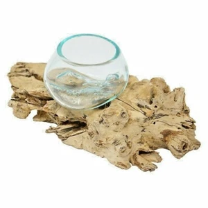 Jarrón de vidrio decorativo S madera de raíz S Liqvavase S Liqva S Gamal raíz fundida jarrón S - Imagen 1 de 6