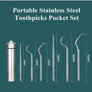 8PCS Portable Stainless Steel Toothpick Pocket Set Reusable Metal Anti-corrosion - Picture 1 of 8
