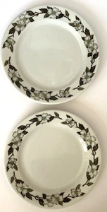 Sets of 2 Shenango Rimrol China Dogwood Dinner Plates Vintage Restaurant Ware - Picture 1 of 5