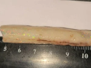 45 CARATS BELEMNITE / PIPE SOLID OPALISED RARE FOSSIL FROM COOBER PEDY - Picture 1 of 12