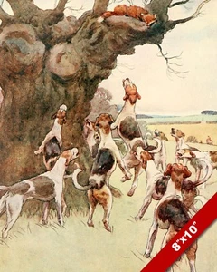 HOUNDS CATCH THE FOX IN TREE HUNTING DOG  ART PAINTING PRINT ON REAL CANVAS - Picture 1 of 1