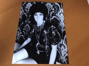 JULIE DRISCOLL - ORIGINAL PRESSEFOTO 13x18cm - Bild 1 von 1