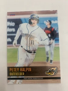 Petey Halpin Card 2023 Akron Rubber Ducks Team Card - Picture 1 of 1