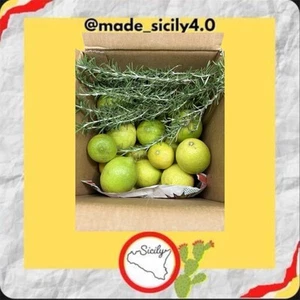 5 Kg Limoni Di Sicilia Limoni Siciliani. Disponibilità Industriale - Foto 1 di 2
