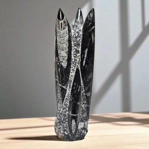 Polished Orthoceras Fossil Sculpture 10" Black Marble Tower Cephalopod Morocco  - Picture 1 of 10