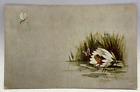 1908 Dragonfly, Frog, Water Lily Flower, Vintage Postcard