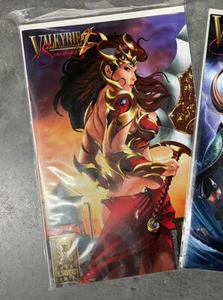 Valkyrie Saviors #2 Sunset Diana Variant Cover Michael DiPascale Kickstarter Rarität - Bild 1 von 1