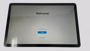 Samsung Galaxy Tab S6 Lite SM-P613 10.4" Tablet (Blue 64GB 4GB) Wifi BROWNLCD - Afbeelding 1 van 2