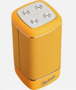 Roberts Beacon 325 Altavoz Bluetooth Portátil Recargable BEACON325LSYE - Imagen 1 de 2