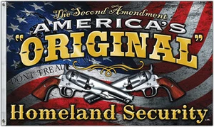 NUEVO 3x5ft ORIGINAL DE AMERICA SEGURIDAD NACIONAL 2DA ENMIENDA BANDERA con licencia - Imagen 1 de 1