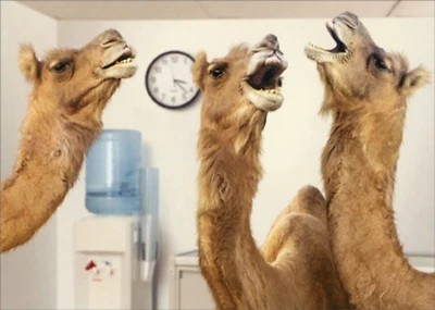 Retirement Greeting Card - Office Camels - Image 1 of 2