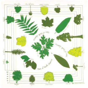 Printed Image Trees of North America Bandanna Sycamore Magnolia Oak Walnut - Picture 1 of 1