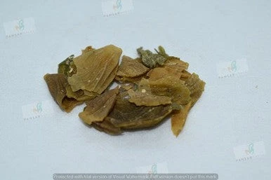 NATURAL CARE 53 Sangdana Murgh 50g – سنگدانہ مرغ – Natural Dried