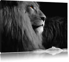 Belle Fier Lion Noir/Blanc Image de Toile Décoration Murale Impression