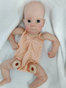 Kit de muñeca bebé Bettie Reborn pintada de aspecto real fresco de 18 pulgadas juguete corporal de tacto suave - Imagen 1 de 10