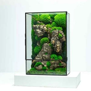 Moss Box Terrarium A Ready-Assembled Geometric Green Centrepiece with Preserved - Picture 1 of 9