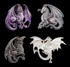 Dragon Magnets Fridge - Legends 4er Set - Fantasy Deco