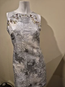 Phoebe Couture Grey Metallic Silver Dress Sleeveless Embellished Neck Size 6 EUC - Bild 1 von 13