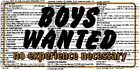BOYS WANTED METAL LICENSE PLATE AUTO TAG NUMBER #529-00