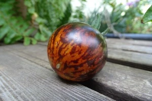 Tomate Reina de la Noche - llamativo y único tomate ensalada con gran sabor - Imagen 1 de 3