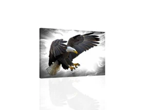 Bald Eagle II - CANVAS or PRINT WALL ART - Picture 1 of 2