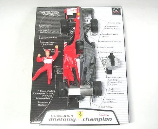 Anatomy Of Champion-Ms Privato Collection - Immagine 1 di 1