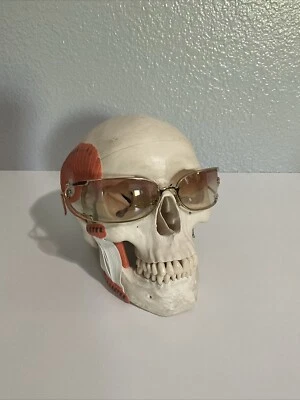 Versace Mod N85 N30/536 Medusa Vintage Sunglasses - Image 1 of 4