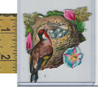 Victorian Card, 1890's, Birds Diecut, Nest, Eggs, Flower (A29)