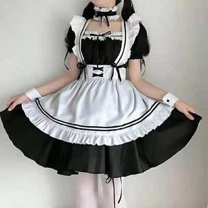 Maid Costume Anime Cosplay Womens Lolita with Apron Fancy Dress Maid Outfit - Picture 1 of 5