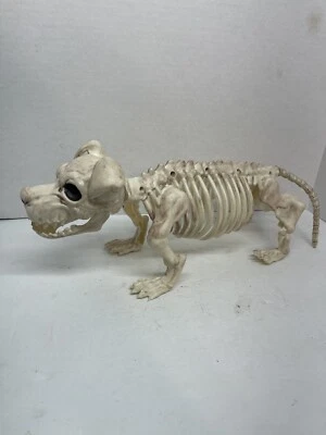 18" Halloween Skeleton Dog Plastic Puppy Bones Display Decor Mouth Moves - Image 1 of 4