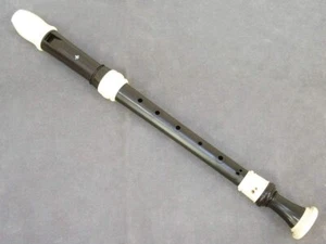 Whole tone G-1A Bressan baroque ABS resin Alto Recorder - Picture 1 of 3