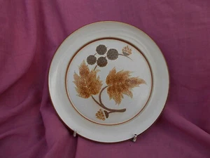 Denby Cotswold Dîner Plaque. Diamètre 25.1cm - Picture 1 of 1