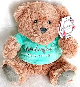 Wonderful Teacher - Cute Teddy Bear - 20cm Plush - Brand New - Picture 1 of 1
