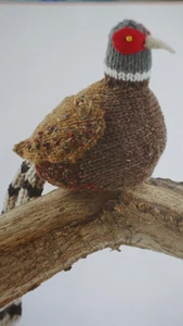 Knitting Pattern  For A Lovely Pheasant in  Oddments of  D.K.-Size 12in long - Picture 1 of 1