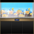  M Aquarium Background Poster Backdrop Image Decor Fish Tank