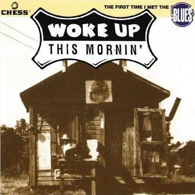 John Lee Hooker - Various - Woke Up This Mornin - John Lee Hooker CD YEVG The - Bild 1 von 2