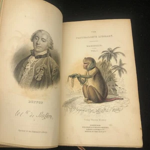 The Naturalist's Library: Mammalia Vol 1 Monkeys ~ William Jardine (1st Ed 1833) - Picture 1 of 17