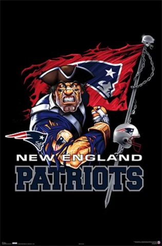 NFL MAGNETS for CAR / REFRIGERATOR / FIILING CABINET / LOCKER/ TOOL BOX Cover