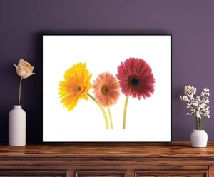 Handmade 3 Gerbera Daisies Colorful Counted Cross-Stitch Pattern Chart - Picture 1 of 2