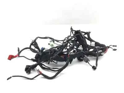 Arnés de cableado del motor principal BMW R1200GS ABS 3032A 2006 Foto 1 de 4