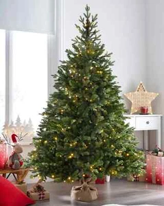 6 Fuß Pre-Lit Norwegen Fichte Topf Christbaumschmuck mit 300 warmen LED-Lichtern - Bild 1 von 5