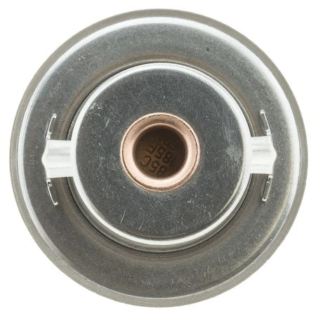 Termostato Cst 447 185 Foto 1 de 4