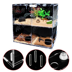 4 Grids Reptile Cage Enclosure Box Tarantula Insect Scorpion Clear Display Case