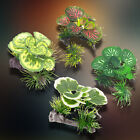 1 pièce de fausses plantes artificielles d'herbe aquatique en plastique pour aquarium aquarium décoration à faire soi-même