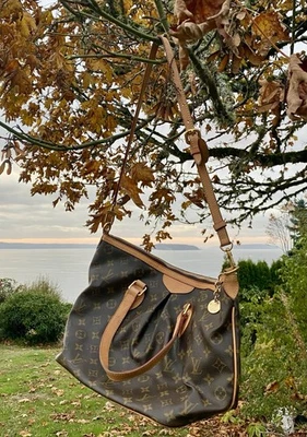 Bolso de mano Louis Vuitton Palermo monograma lona GM Foto 1 de 4