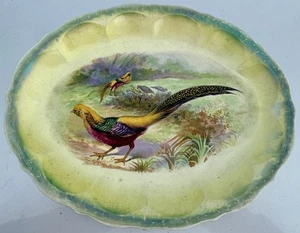 Antique Imperial Chinese Golden Pheasant Oval Serving Plate Platter China 14 In. - Picture 1 of 14