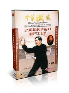 Sha Guozheng Wushu Seires - Sha Style Tongbei Five Elements Fist Practice DVD - Imagen 1 de 1