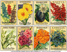 Antique Seed Packet Reproductions, 2 Sticker Sheets, Flower Seed Pack, Garden
