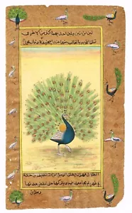 Indien Miniatur Malerei Von Tanzend Pfau Vogel Natur Art Auf Papier 15.2x25.4cm - Bild 1 von 6
