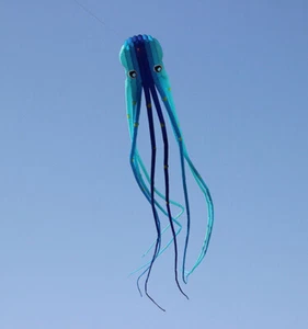 15m Crystal Octopus Kite Soft Inflatable Animal Kite Ripstop Adult Flying Toy - Picture 1 of 6